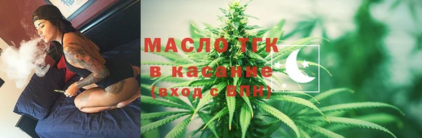 крисы Ельня