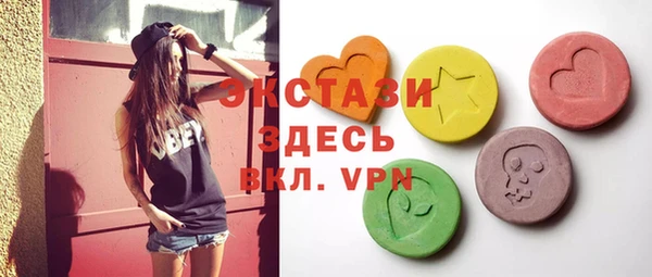 крисы Ельня
