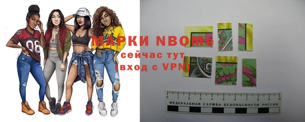 крисы Ельня