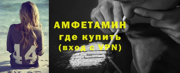 крисы Ельня