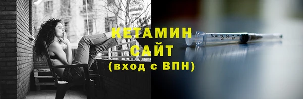 крисы Ельня