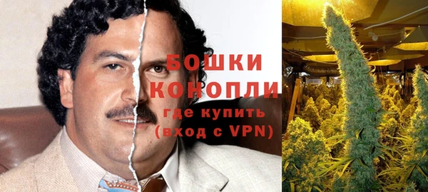крисы Ельня