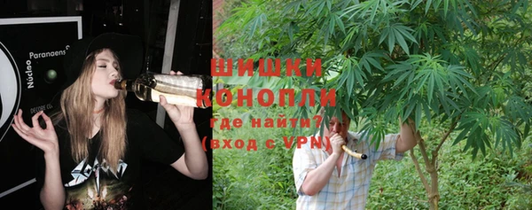 крисы Ельня