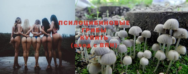 крисы Ельня