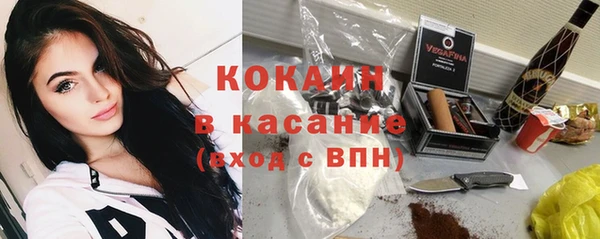крисы Ельня